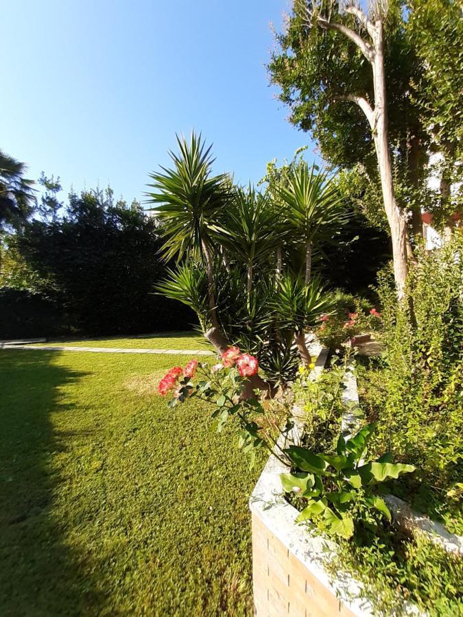 La Gran Dama Bed & Breakfast Roseto Degli Abruzzi Exterior photo
